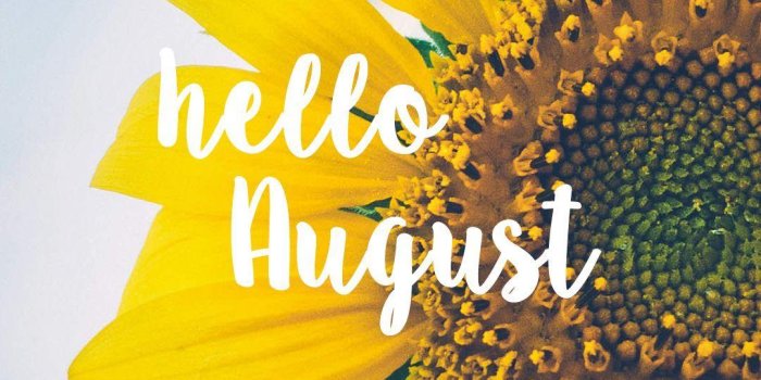 1080x1920 August Summer Wallpapers - Top Free August Summer Backgrounds -  WallpaperAccess