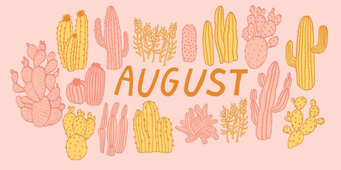 1920x1080 100+] August Wallpapers | Wallpapers.com