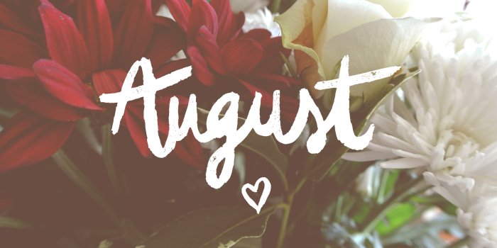1920x1200 It's Not Serious!: Giveaway - Free August Wallpaper!