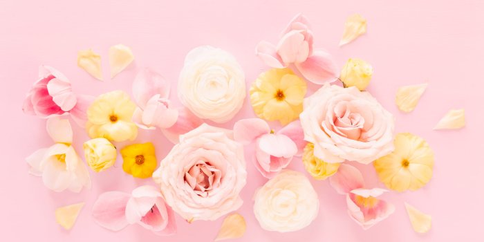 2560x1707 DIGITAL BLOOMS AUGUST 2020 | FREE DESKTOP WALLPAPER - JustineCelina
