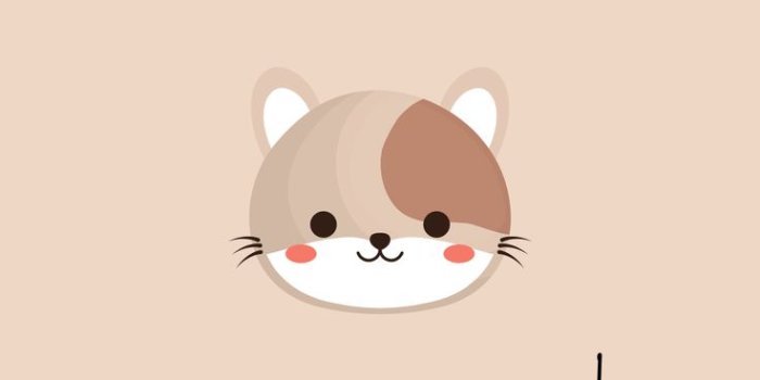 736x1308 20+ Free Cute iPhone Wallpapers With HD Quality | Lucu