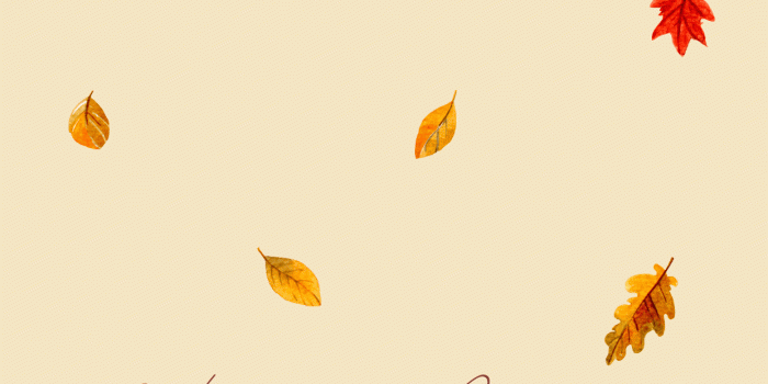 1242x2688 37+] Cute Autumn iPhone Wallpapers - WallpaperSafari