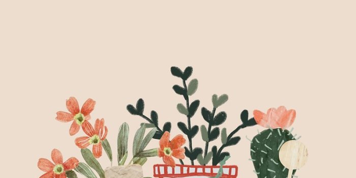 800x1422 Iphone Wallpaper Cute | Free Aesthetic HD & 4K Mobile Phone Images -  rawpixel