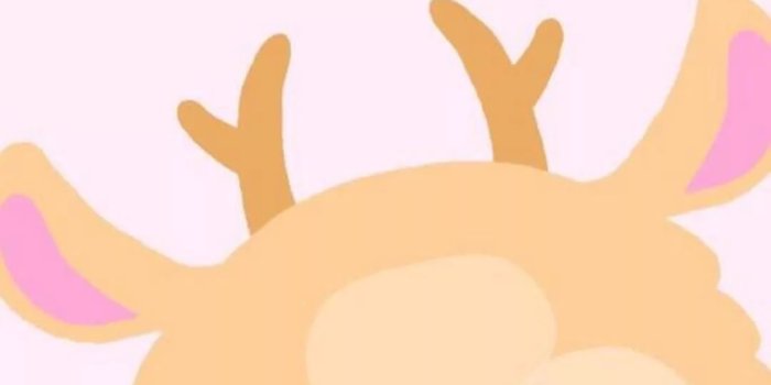 1080x1920 48 Cute iPhone Wallpapers - Wallpaperboat