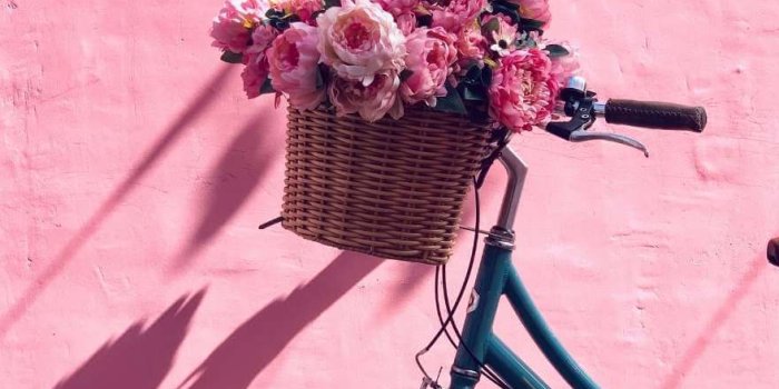 880x1267 31 Cute Pink iPhone Wallpapers for 2022 (Free Download!) - Uptown Girl