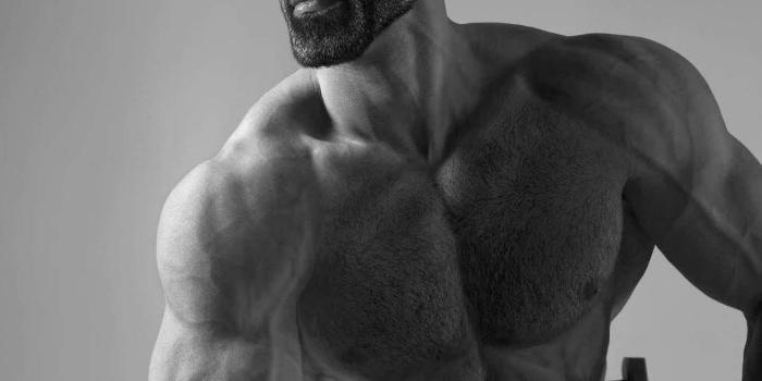 1440x1775 Quran Gigachad | GigaChad | Know Your Meme | Chad image, Memes, Know your  meme