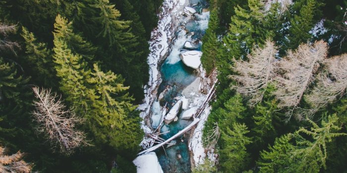 1000x1506 iPhone 5 Wallpapers: Free HD Download [500+ HQ] | Unsplash