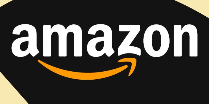 2400x3429 Amazon - The Verge