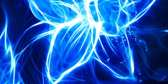 1440x2560 Blue Fire Flower Ultra HD Desktop Background Wallpaper for 4K UHD TV :  Widescreen & UltraWide Desktop & Laptop : Tablet : Smartphone