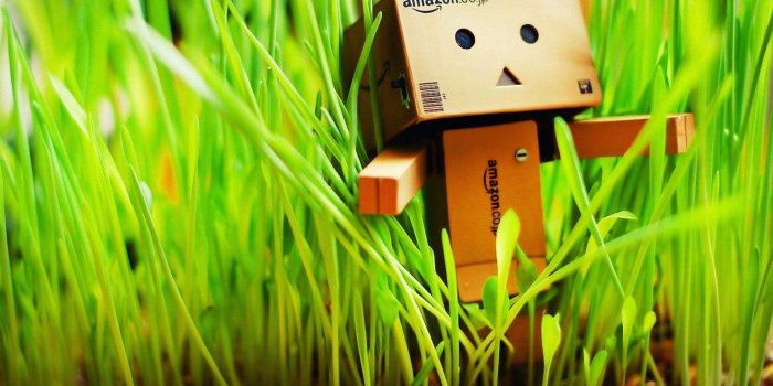 1920x1080 Amazon Wallpapers