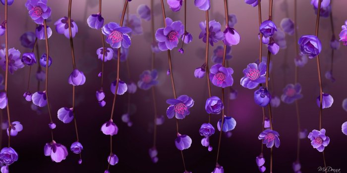 1920x1080 Pink Petaled Flowers Wallpapers - Wallpaperforu