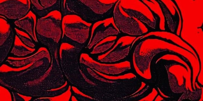 816x1562 Baki iPhone Wallpapers - Top Free Baki iPhone Backgrounds - WallpaperAccess