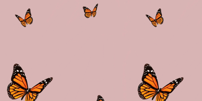 1920x1080 Butterfly Laptop Wallpapers - Top Free Butterfly Laptop Backgrounds -  WallpaperAccess