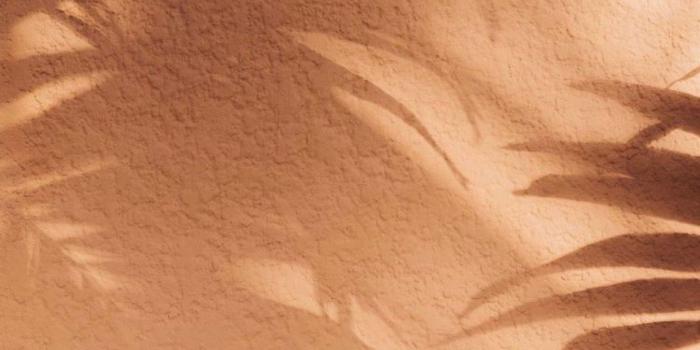 1242x1622 Tan Aesthetic Wallpapers - Top Free Tan Aesthetic Backgrounds -  WallpaperAccess