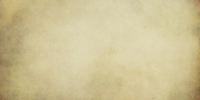 1600x1201 48+] Tan Wallpaper - WallpaperSafari