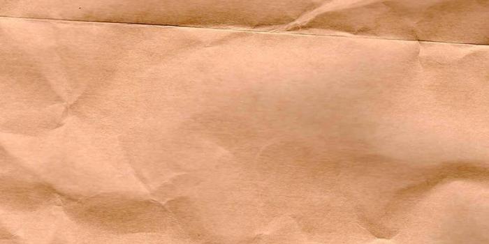 1081x1920 100+] Tan Aesthetic Wallpapers | Wallpapers.com