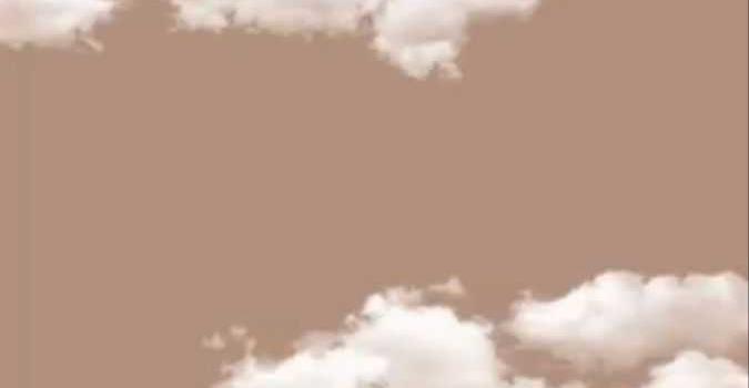 675x1200 Tan Wallpaper - NawPic