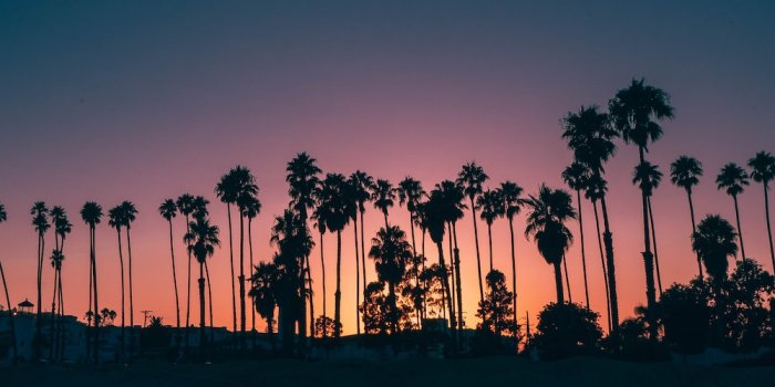 1000x1500 Spotify Playlist Cover | 15 best free cover, wallpaper, background and  light photos on Unsplash