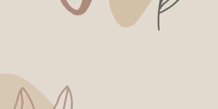 736x1308 Boho iPhone wallpaper | Wallpaper iphone boho, Minimalist wallpaper phone,  New wallpaper iphone