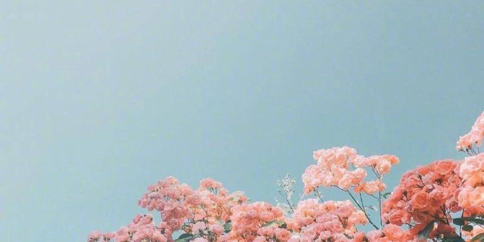 1024x1821 Free download Trendy Summer iPhone Wallpapers Top Free Trendy Summer iPhone  [1024x1821] for your Desktop, Mobile & Tablet | Explore 21+ Trendy  Backgrounds | Trendy Wallpapers, Trendy Wallpaper, Trendy Wallpaper for The  Home