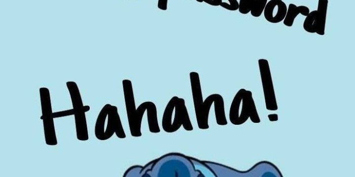 720x1280 20+] Don't Touch My iPad Stitch Wallpapers - WallpaperSafari