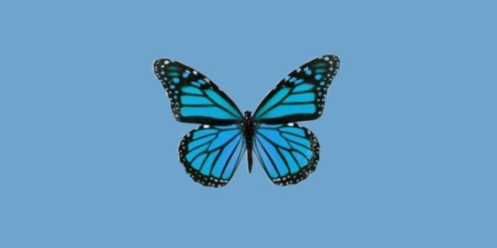 750x1334 Free download Schmetterling tapety butterfly trendy wallpaper aesthetic  [750x1334] for your Desktop, Mobile & Tablet | Explore 21+ Trendy  Backgrounds | Trendy Wallpapers, Trendy Wallpaper, Trendy Wallpaper for The  Home