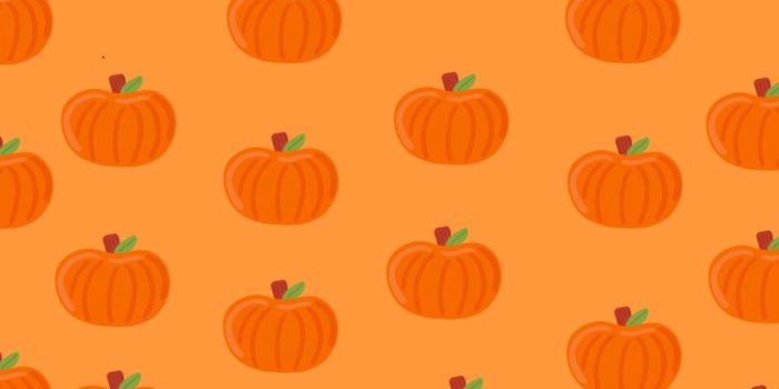 900x1200 Pumpkin wallpaper | Pumpkin wallpaper, Halloween wallpaper cute, Cute fall  wallpaper