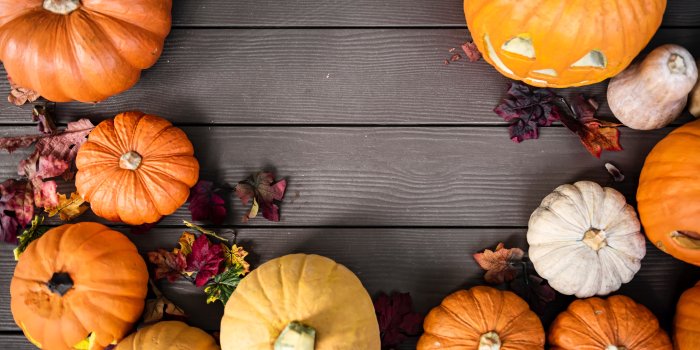 7000x4672 Cute pumpkin desktop wallpaper - High Definition, High Resolution HD  Wallpapers : High Definition, High Resolution HD Wallpapers