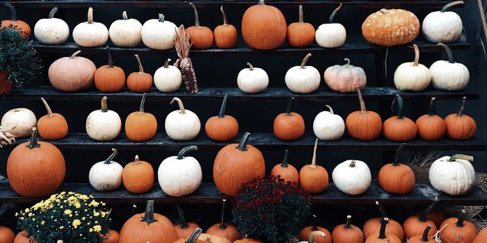 2048x2731 Fall Background: Pumpkin Patch iPhone Wallpaper | 50 Fall iPhone Wallpapers  That'll Instantly Make You Feel Cozy | POPSUGAR Tech Photo 30