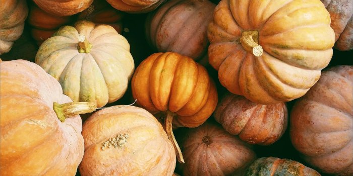 2048x2731 Fall Pumpkins iPhone Wallpaper | The 45 Best Thanksgiving iPhone Wallpaper  Ideas That'll Make You Feel Festive | POPSUGAR Tech Photo 5