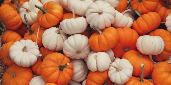 1936x1296 Halloween Pumpkin Aesthetic Computer Wallpapers