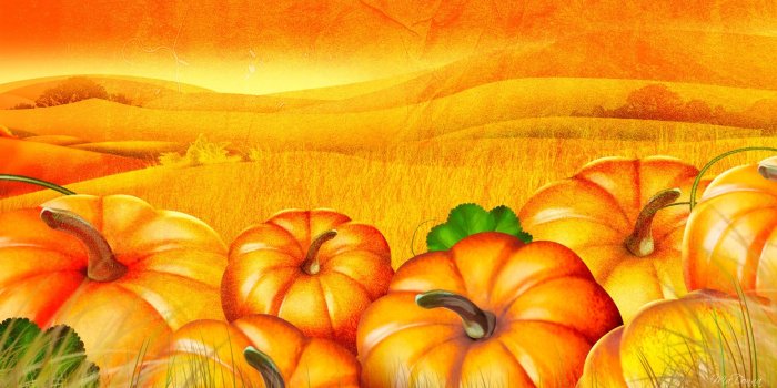 1920x1080 Pumpkin Wallpapers HD - PixelsTalk.Net