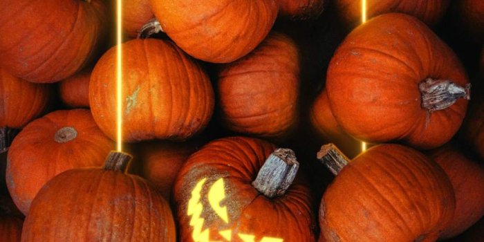 900x1600 Halloween Pumpkins - iPhone Wallpapers