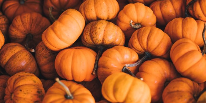 1000x1500 Aesthetic Pumpkin Wallpapers