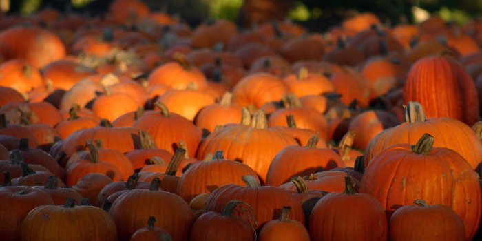 3072x2048 Fall Wallpapers With Pumpkins (57+ images)