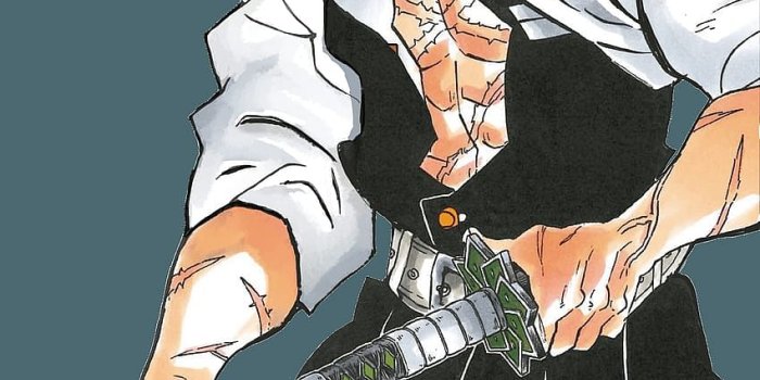 850x1575 Demon Slayer's 9 bravest Hashiras - Sportskeeda Stories