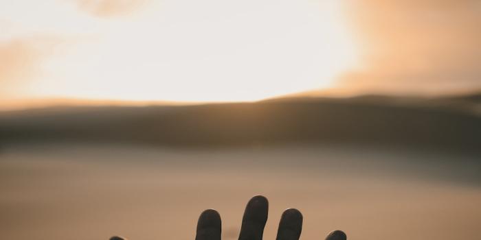 1000x1500 20+ Hands Pictures | Download Free Images on Unsplash