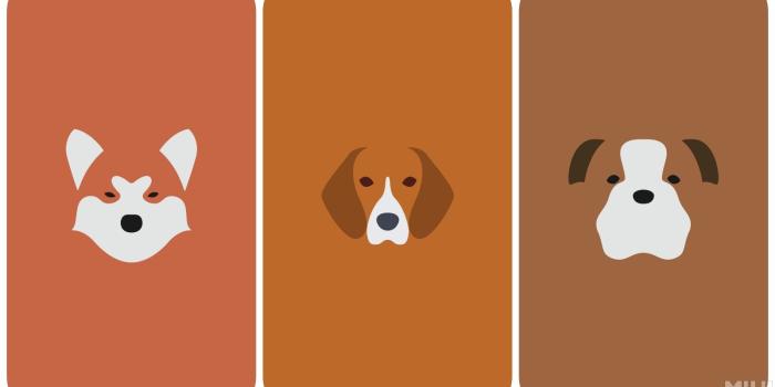 1600x900 Cartoon Dog Computer Wallpapers