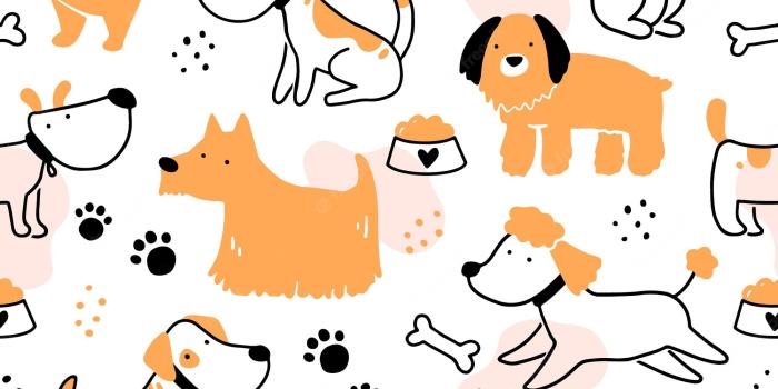 2000x2000 Free download Premium Vector Seamless pattern of cute dog puppy cartoon  funny [2000x2000] for your Desktop, Mobile & Tablet | Explore 28+ Cute  Cartoon Pets Wallpapers | Cute Cartoon Wallpaper, Cute Cartoon