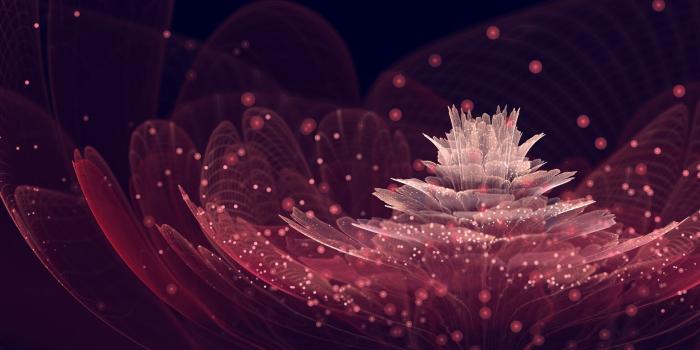 1920x1080 Pink And Black Wallpapers (67+ images)