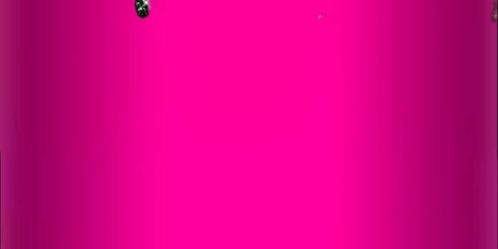 960x1920 100+] Pink And Black Glitter Wallpapers | Wallpapers.com