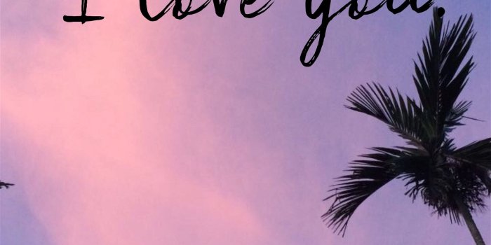 1600x2847 Love you aesthetic Wallpapers Download | MobCup
