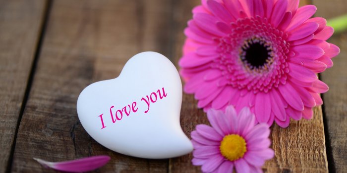 2560x1600 Free download I Love You Wallpapers Pictures Images [2560x1600] for your  Desktop, Mobile & Tablet | Explore 75+ Love Flower Wallpaper | Flower  Background, Flower Wallpapers, Love Backgrounds