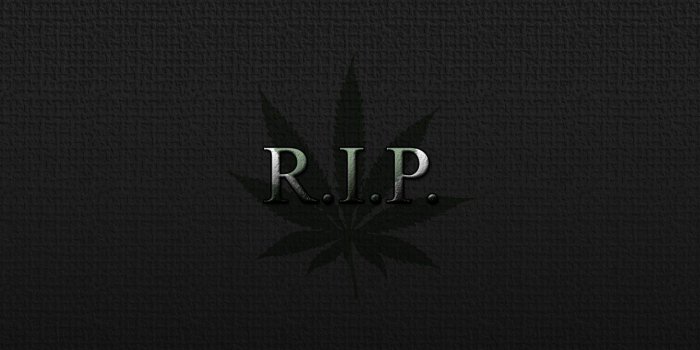 1280x1024 Rip Wallpapers