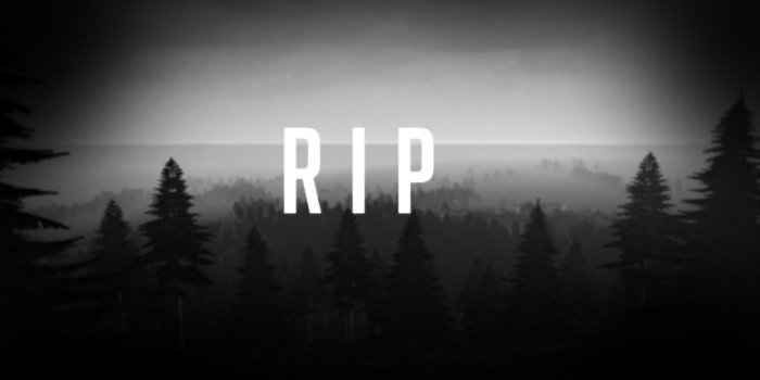 1920x1080 Rip Wallpapers - Top Free Rip Backgrounds - WallpaperAccess