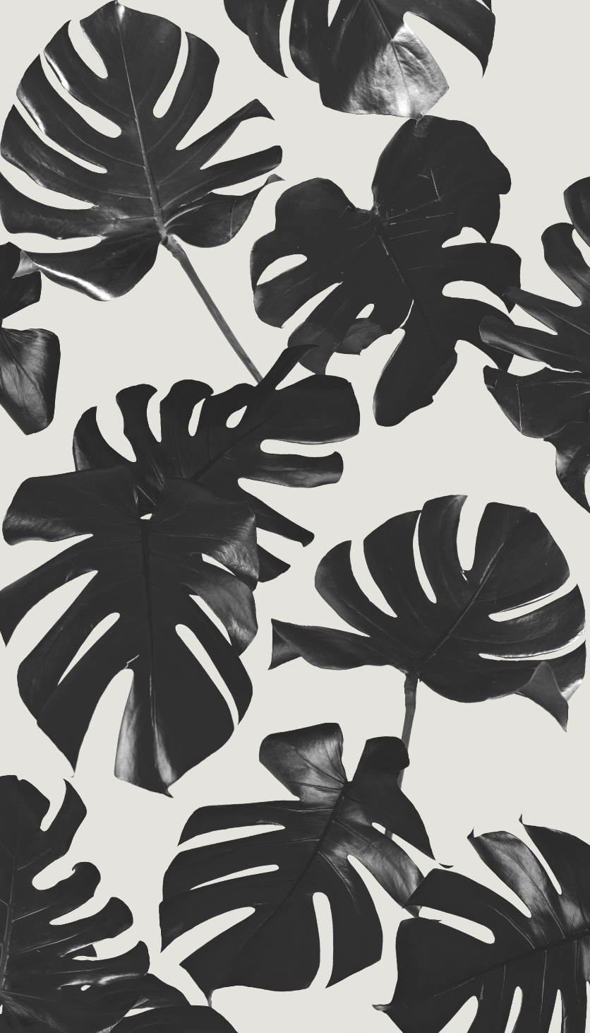 836x1462 Basic Monstera Leaf Traditional Prepasted Wallpaper — SAMANTHA SANTANA