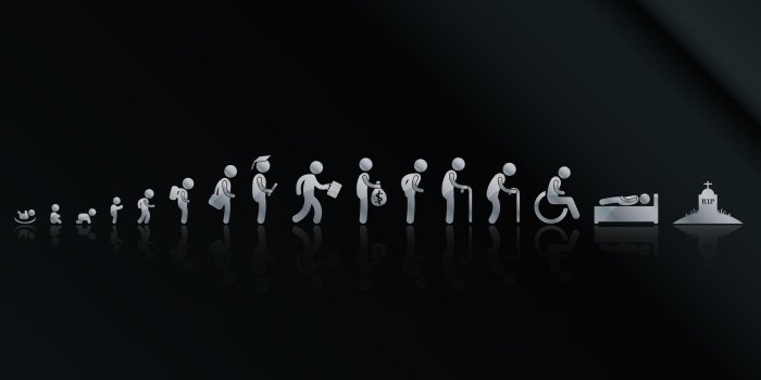 2560x1600 20+ Life HD Wallpapers and Backgrounds