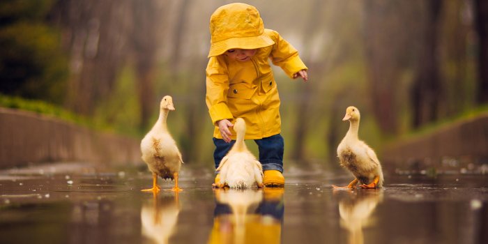 2048x1302 1100+ Child HD Wallpapers and Backgrounds