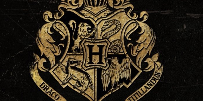 1200x1920 Wallpaper ID: 342129 / Movie Harry Potter Phone Wallpaper, , 1200x1920 free  download