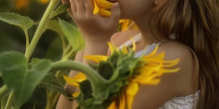 950x1689 Child Relax Sunflowers Morning 4K Ultra HD Mobile Wallpaper